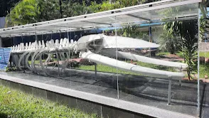 Naval Marine Museum Samudrika