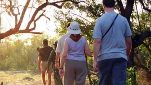 Walking Safari