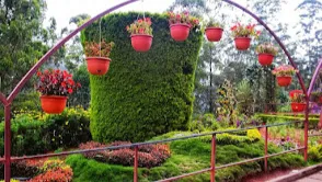 Munnar Rose Garden