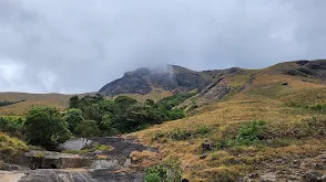 Eravikulam National Park