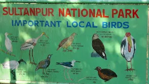 Sultanpur National Park