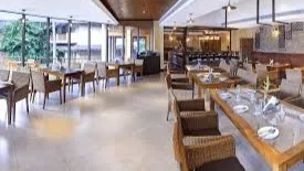 The Palm