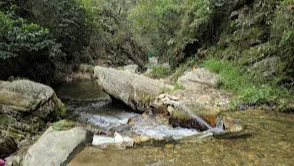 Bhalugaad Waterfall (Mukteshwar)