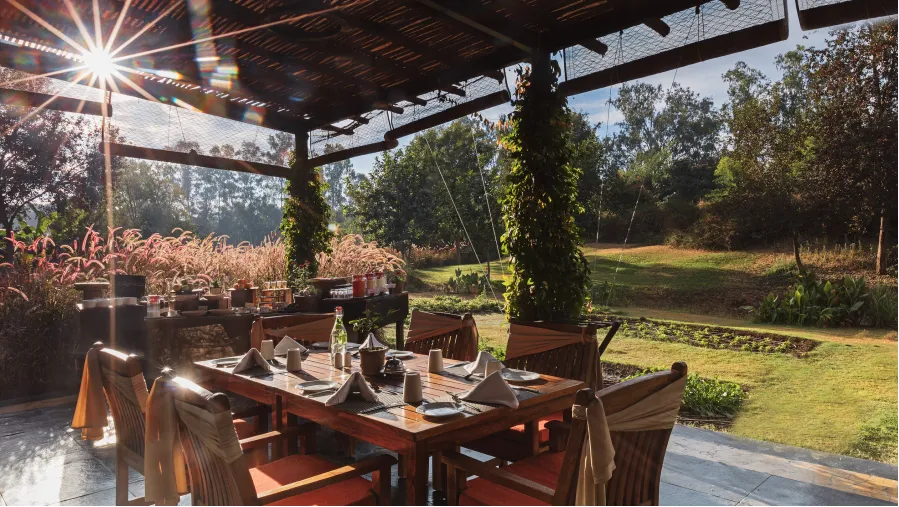 Under The Jamun Tree