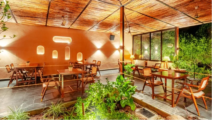 Citrus Garden Project