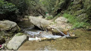 Bhalugaad Waterfall (Mukteshwar)