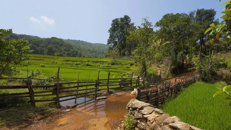 Anshi National Park