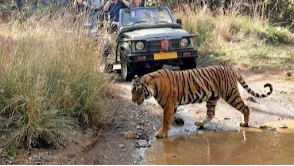 Ranthambore National Park
