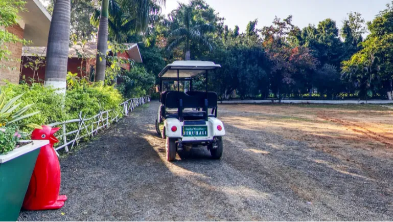 Golf Cart