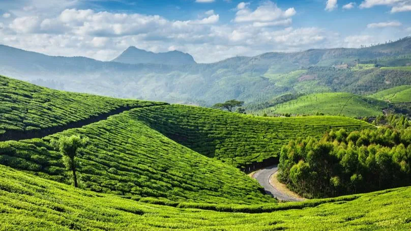 Munnar