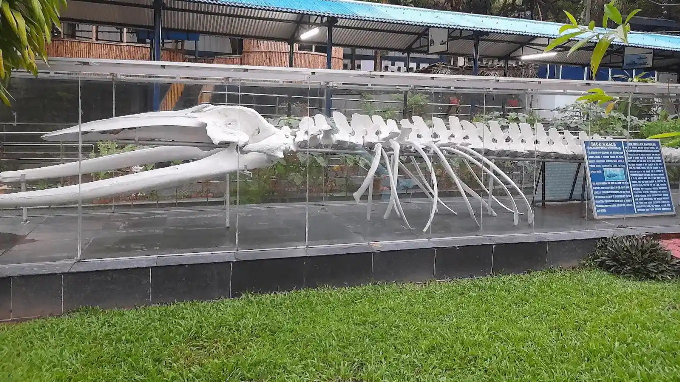 Naval Marine Museum Samudrika