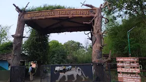 Nagarahole Tiger Reserve