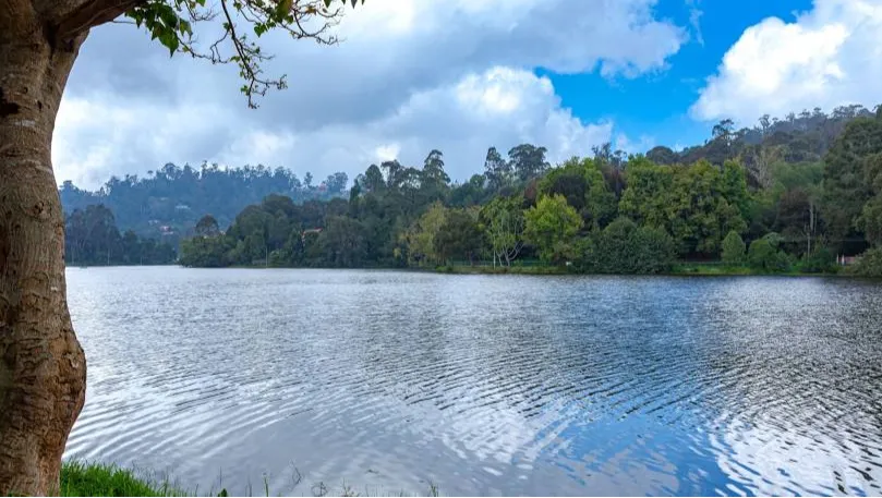 Kodaikanal Lake