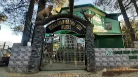 Himalayan Nature Park Kufri Zoo
