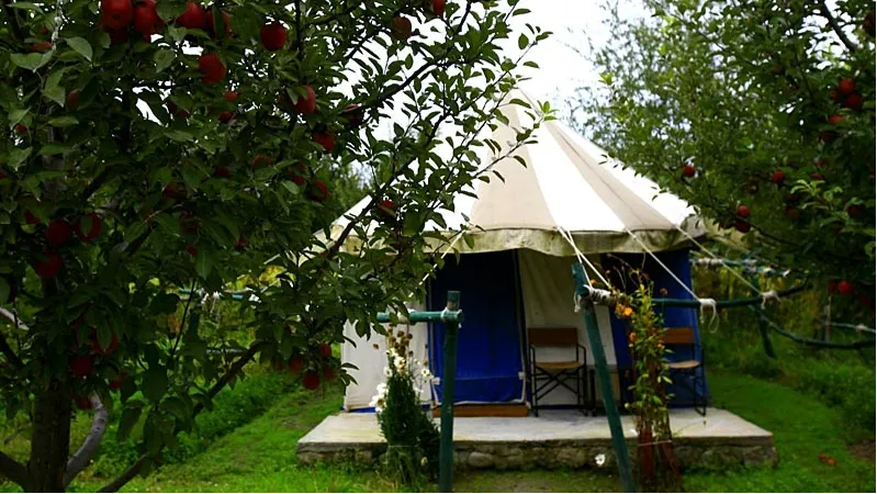Deluxe Swiss Cottage Tents