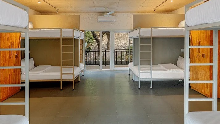 Mixed (Boys/ Girls) Bunk Bedzzz