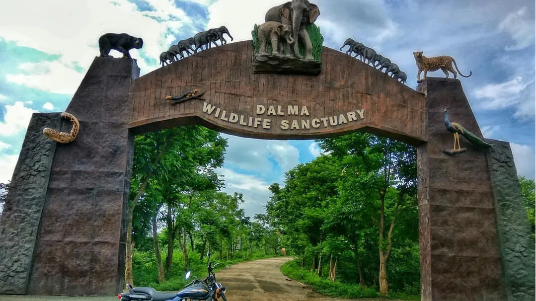 Dalma Wildlife Sanctuary
