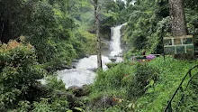 Iruppu Waterfalls - Brahmagiri