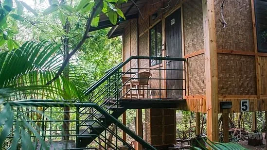 Tree Top AC Room