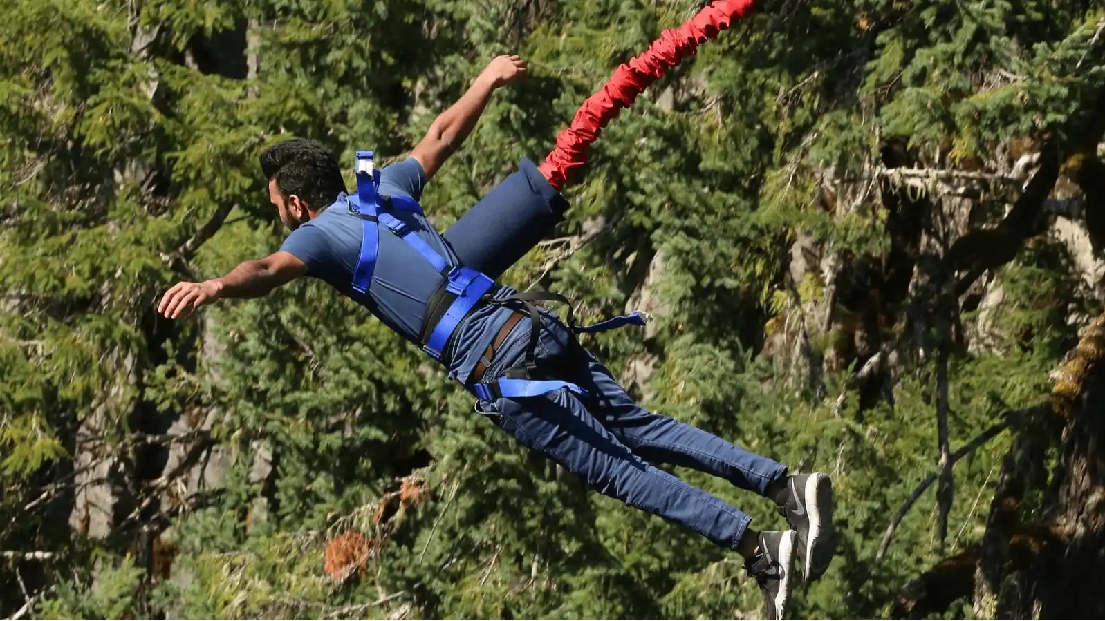 Bungee/Reverse Bungee Jumping