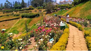 Government Rose Garden