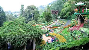 Government Botanical Garden
