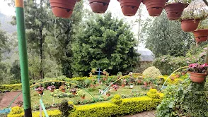 Munnar Rose Garden
