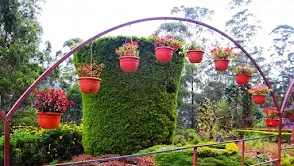 Munnar Rose Garden