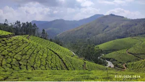 ⁦Eravikulam National Park⁩⁦