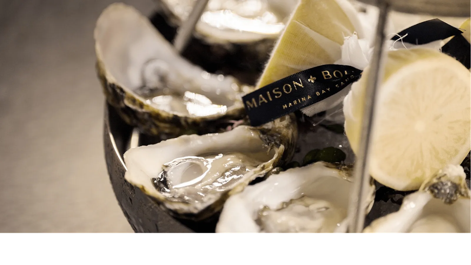 Fine Dining Restaurants