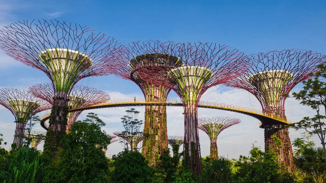 Gardens By The Bay