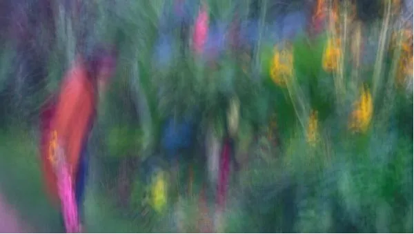 ‘The Trees of Paris’ Exhibition by Melisa Teo