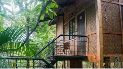 Tree Top AC Rooms