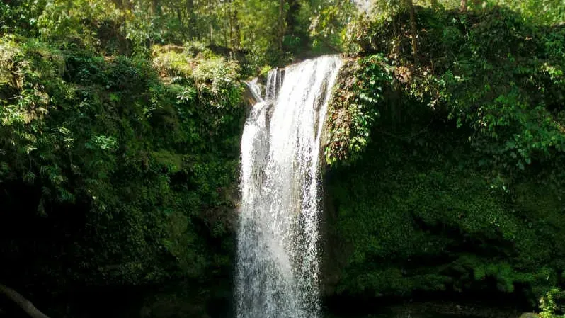 Corbett Falls near Kaladungi