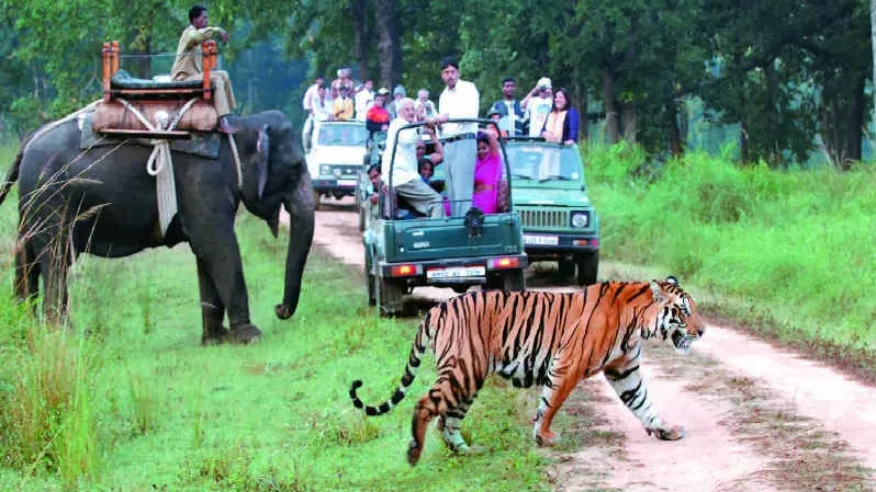 Corbett Tiger Reserve
