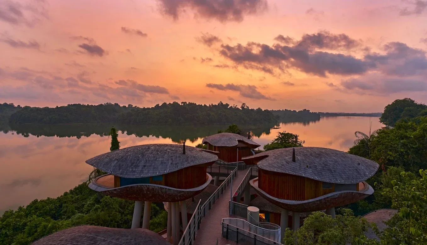 Mandai Rainforest Resort by Banyan Tree — main image