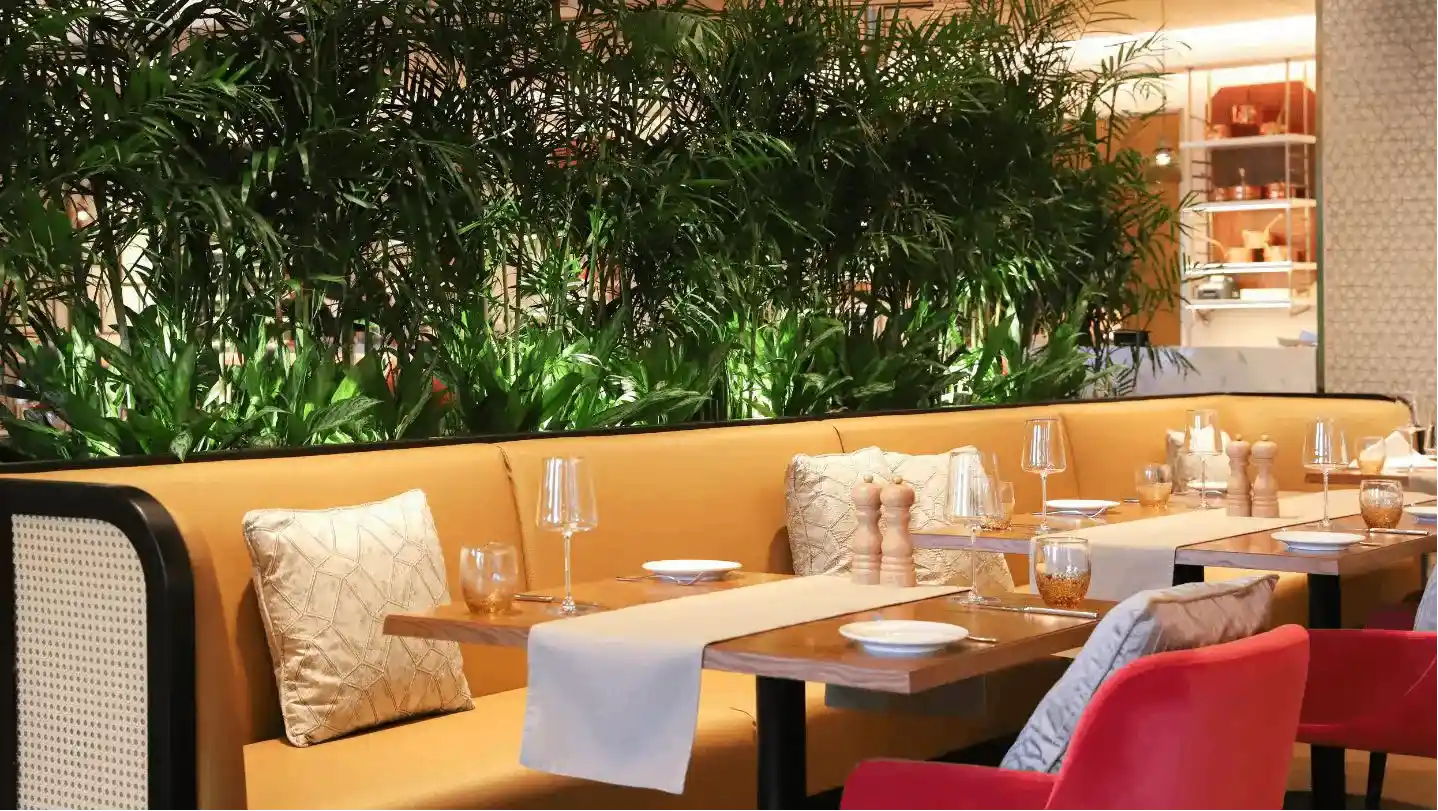 OTTIMO HOUSE TRATTORIA 