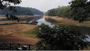 Elephant Junction Thekkady
