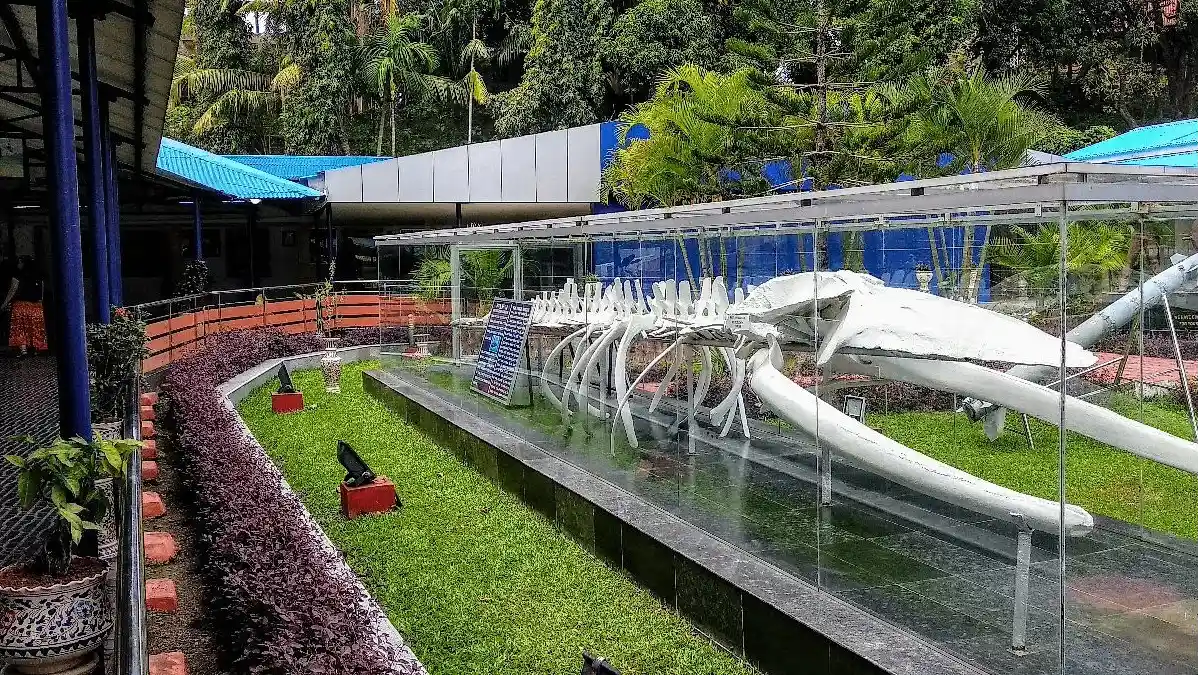 Naval Marine Museum Samudrika