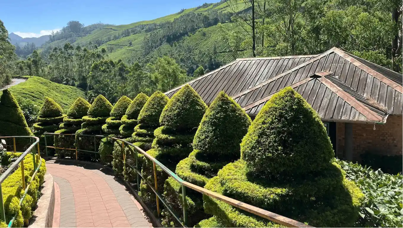 Munnar Rose Garden