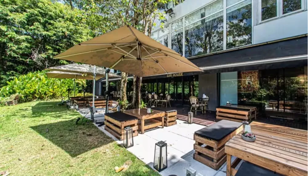 The Backyard — main image