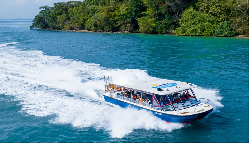 Southern Albatross - Singapore Speedboat Adventures — main image