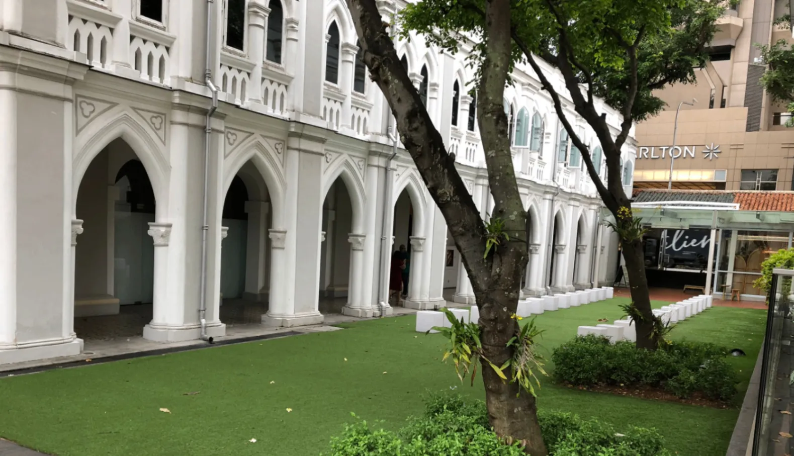 Mini Lawn — main image