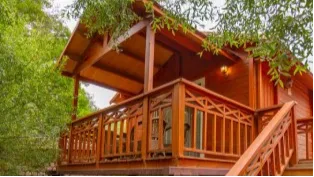 Suite Tree House 