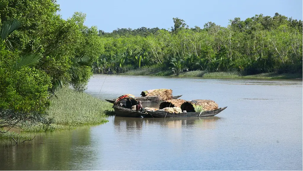 Sundarbans National Park
