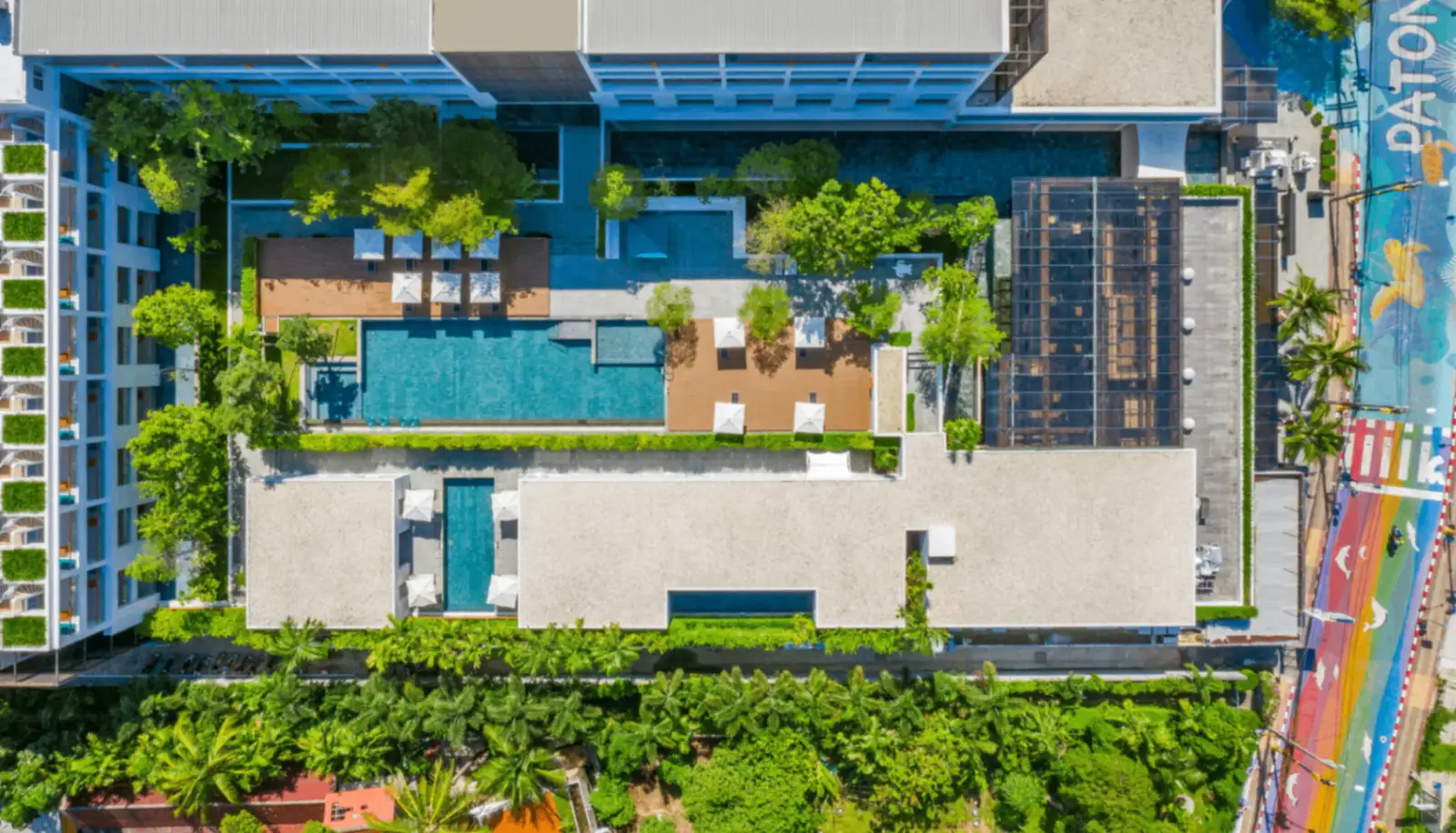 The Nap Patong — main image
