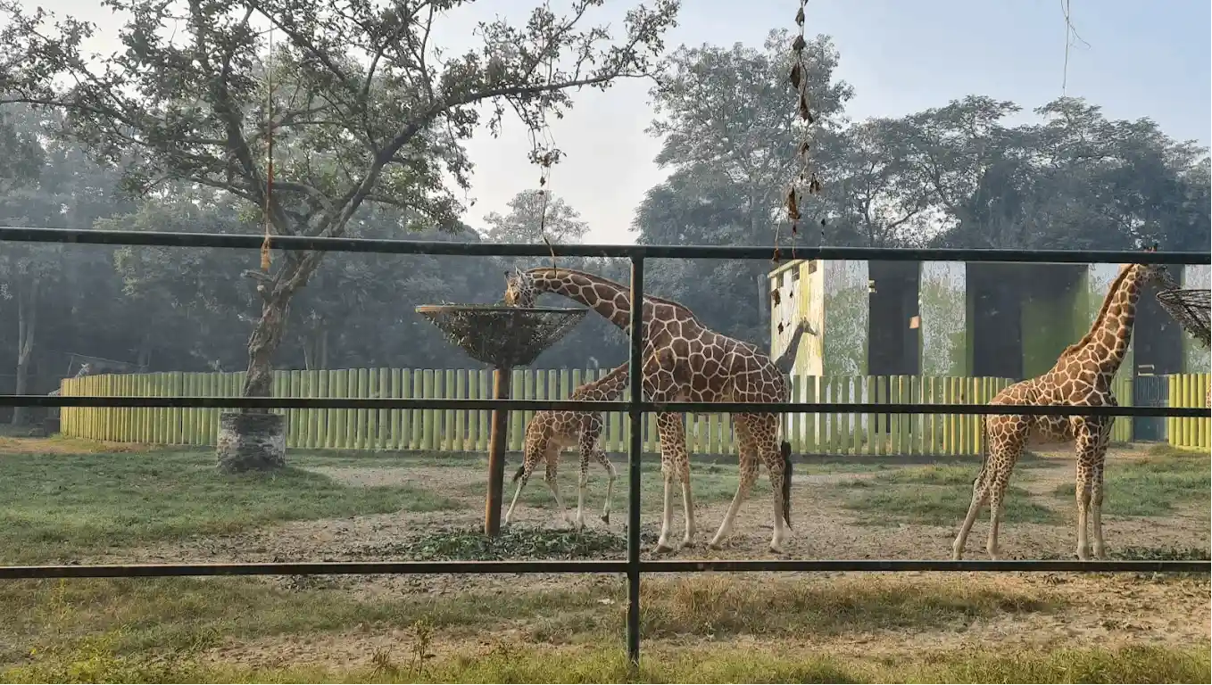 Sanjay Gandhi Biological Park