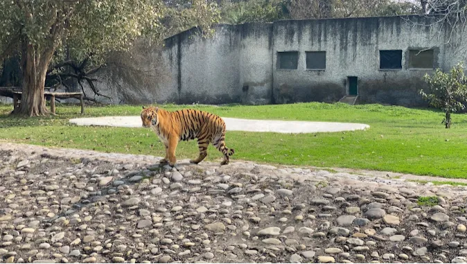 Mahendra Chaudhary Zoological Park