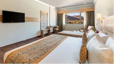 Deluxe Top Floor Mount View Room