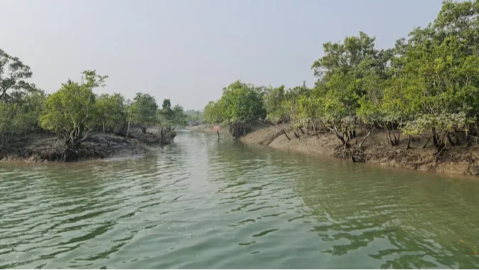 Sundarbans National Park
